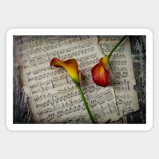 Calla Lillies On Sheet Music Sticker